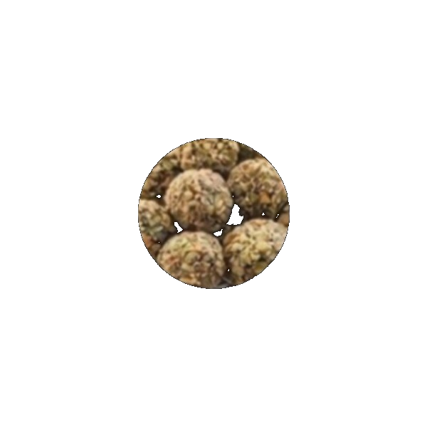 Pistachio