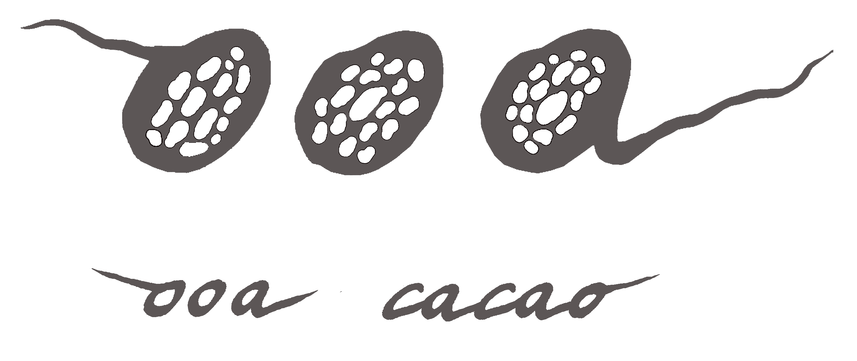 OOA Cacao